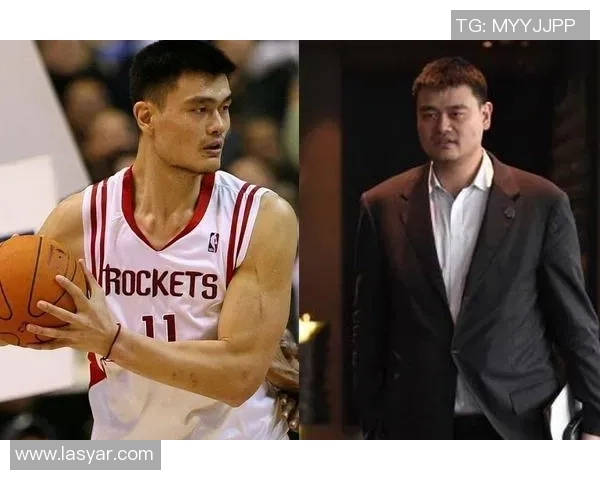 詹姆斯与姚明的发型对比解析展现篮球明星的个性与风格